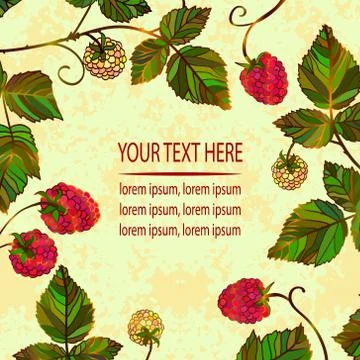 Vector vintage frame with red and yellow raspberries Stock Illustration