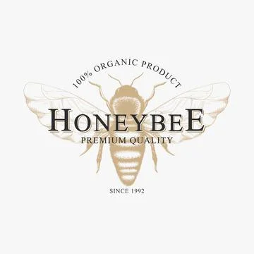 Vector vintage logo with hand drawn sketch honey bee isolated on white backgr Stock Illustration
