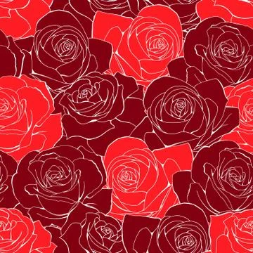 Vector vintage seamless pattern. White outlined red scarlet rose flowers Illustrazione stock