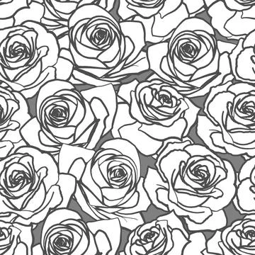 Vector vintage seamless pattern. White and gray outline rose flowers Illustrazione stock
