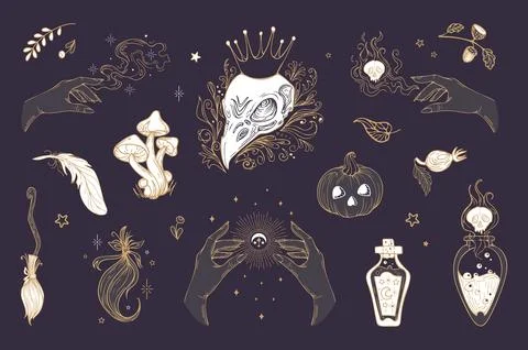 Vector vintage set illustration magic items, for Halloween. Raven skull in crown Stock Illustration