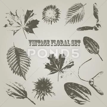 Vector vintage style floral elements Stock Illustration