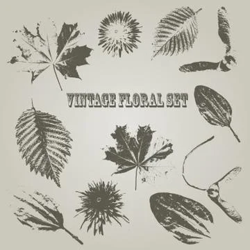 Vector vintage style floral elements Stock Illustration