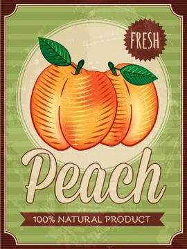 Vector vintage styled peach poster Stock Illustration