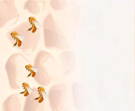 Vector Wasp, insect vector, color drawing. Wildlife illustration Stock Illustration