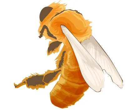 Vector Wasp, insect vector, color drawing. Wildlife illustration Stock Illustration