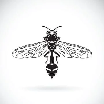 Vector of a wasp on a white background. Insect Animal Stockillustratie