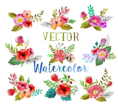 Vector watercolor buttonholes. Stock Illustration