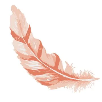 Vector watercolor feather. Stock Illustration