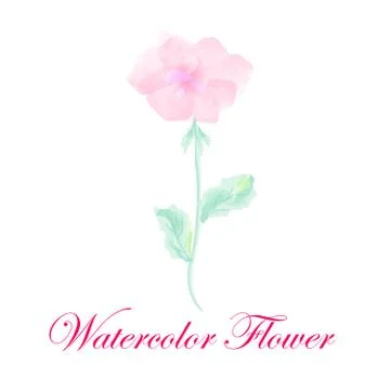 Vector Watercolor Flower. Stock Illustration