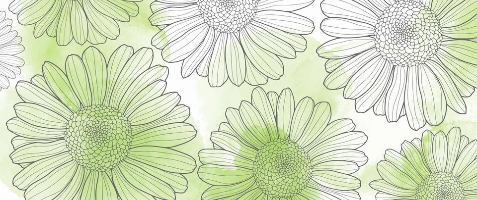 Vector watercolor green background with delicate daisies Stock Illustration
