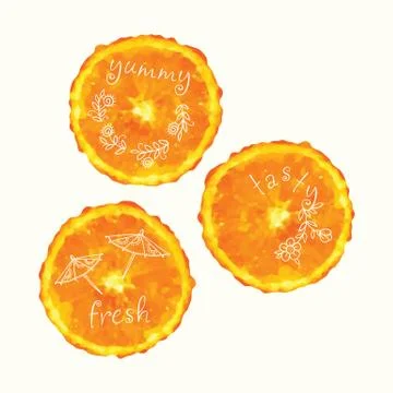 Vector watercolor orange slice circles, hand drawn doodle elements. Illustrazione stock