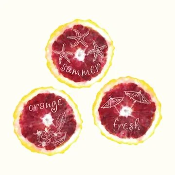 Vector watercolor orange slice circles, hand drawn doodle elements. Illustrazione stock