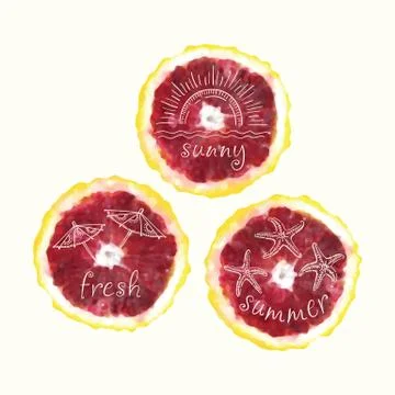 Vector watercolor orange slice circles, hand drawn doodle elements. Illustrazione stock