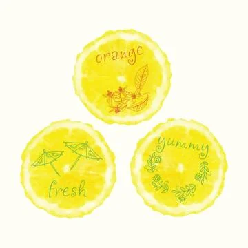 Vector watercolor orange slice circles, hand drawn doodle elements. Illustrazione stock
