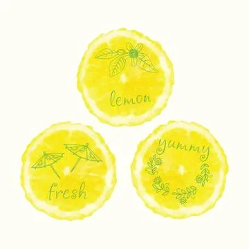 Vector watercolor orange slice circles, hand drawn doodle elements. Illustrazione stock