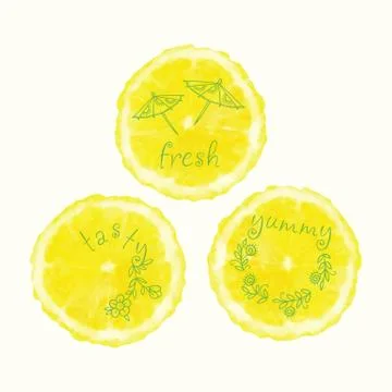 Vector watercolor orange slice circles, hand drawn doodle elements. Illustrazione stock