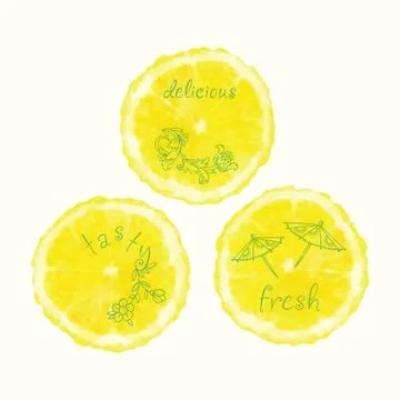 Vector watercolor orange slice circles, hand drawn doodle elements. Illustrazione stock