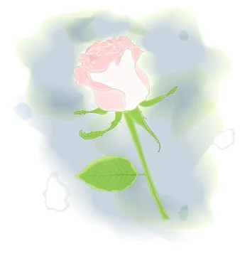 Vector watercolor rose Stock Illustration