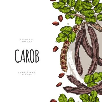 Vector watercolor sketch poster with side seamless border of carob tree. Stock Illustration