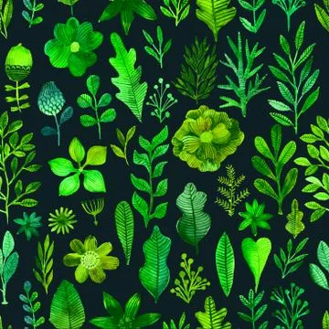 Vector watercolor texture with flowers and plants. Floral ornament. Original Stock Illustration
