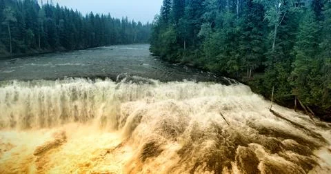 Vector waterfall plunging over river ledge into rapids, mist rising amid Ilustração Stock