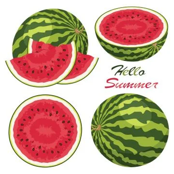 Vector watermelon background set Stock Illustration