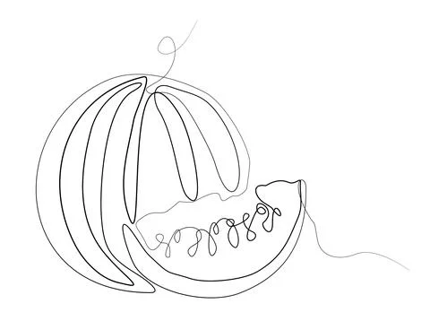 Vector watermelon continuous one line drawing. Stock Illustration