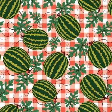 Vector watermelon pattern on red checkered background. Summer fruit. Stock Illustration