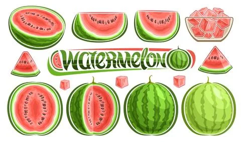 Vector Watermelon Set Stock Illustration