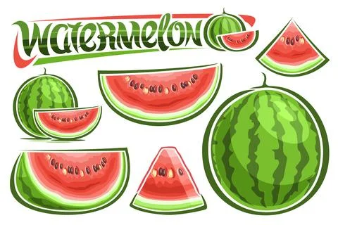 Vector Watermelons Set Stock Illustration
