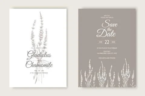 Vector wedding invitations set with lavender flowers. Romantic tender floral Stock Illustration