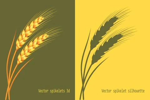 Vector wheat in 3d and silhouette on green and yellow background isolated. Ve Stock Illustration