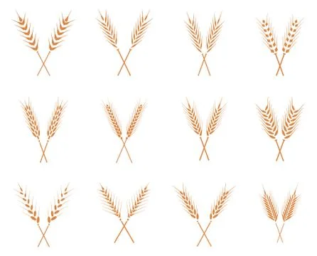 Vector wheat ears icons set. Illustrazione stock