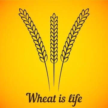 Vector wheat ears on yellow Stock Illustration