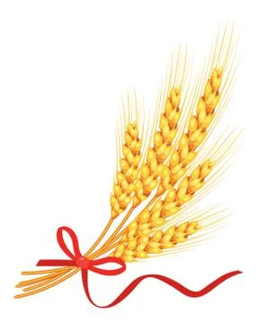 Vector wheat with red ribbon on white background isolated. Vector. Stockillustratie