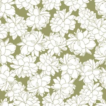 Vector white and gold Jasminum sambac or Arabian Jasmine flower monochrome Stock Illustration