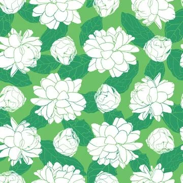 Vector white and green rows of Jasminum sambac or Arabian Jasmine flower Stock Illustration