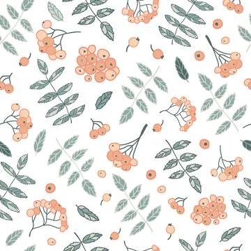 Vector white ash berries and leafs texture background seamless pattern print Stock Illustration