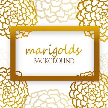 Vector white background with golden marigolds Stock Illustration