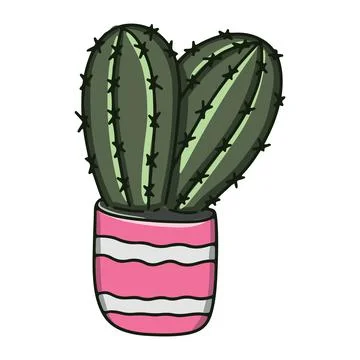 Vector on a white background. Green cactus in a pink pot isolated illustratio Stock Illustration