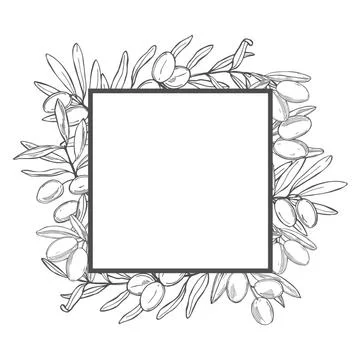 Vector  white background with  olive Stock Illustration