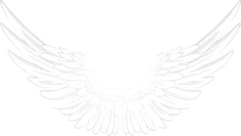 Vector white background with pair of wings. Angel wings Stock Illustration