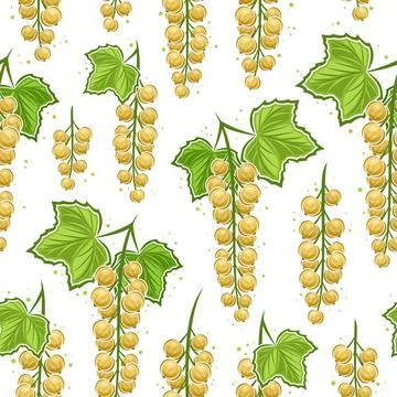Vector White Currant Branches seamless pattern Stock Illustration
