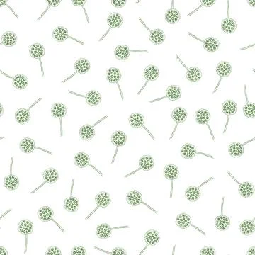 Vector white delicate seamless pattern with scattered lotus seed pod and st.. Stock Illustration