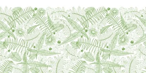 Vector white horizontal border fern leaves pattern. Perfect for posters, gr.. Stock Illustration