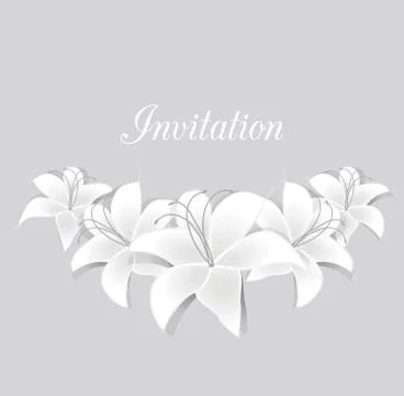 Vector White lilies Stock Illustration