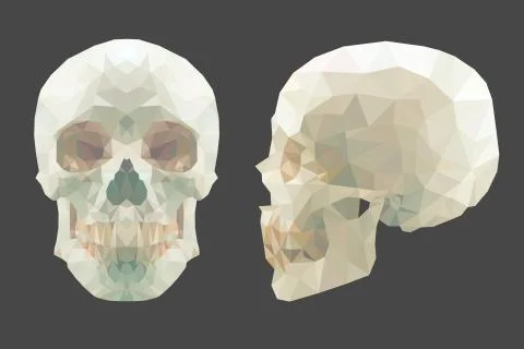 Vector white low-poly skull on white background Stock Illustration