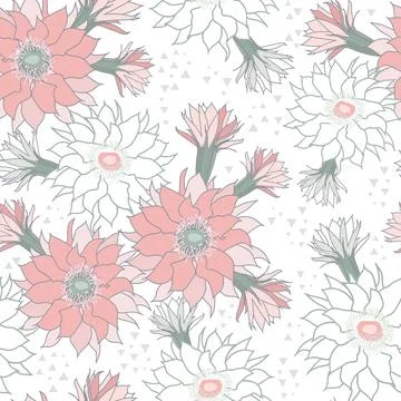 Vector white pink cactus flower seamless pattern print background. Stock Illustration