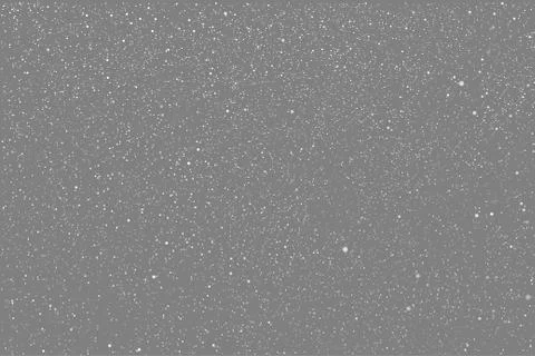 Vector white snow falling on dark background. Illustrazione stock